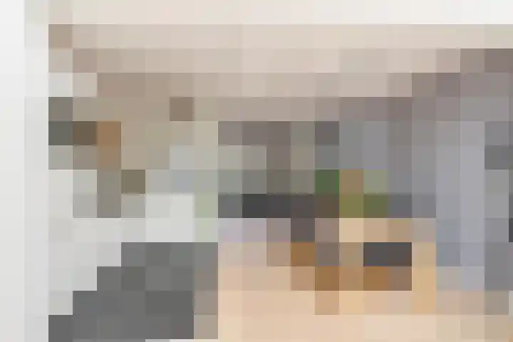 Nassaulaan 68 Vlaardingen thumbnail 18