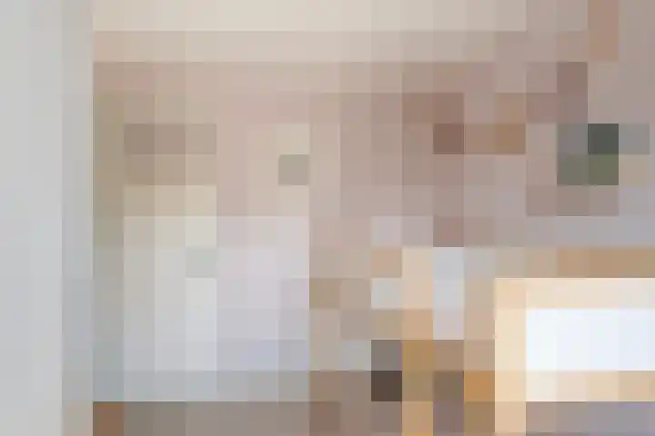 Nassaulaan 68 Vlaardingen thumbnail 30