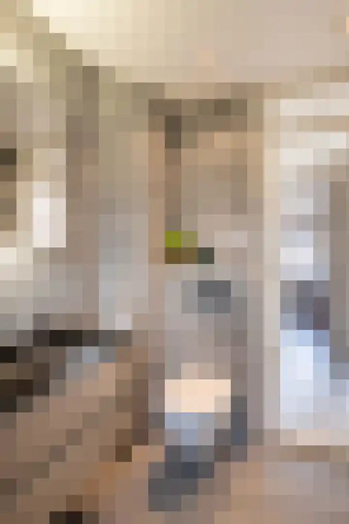 Nassaulaan 68 Vlaardingen thumbnail 35