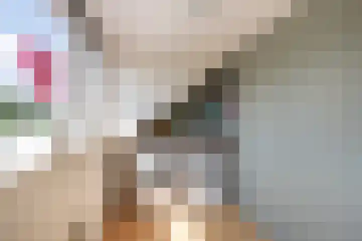 Nassaulaan 68 Vlaardingen thumbnail 40