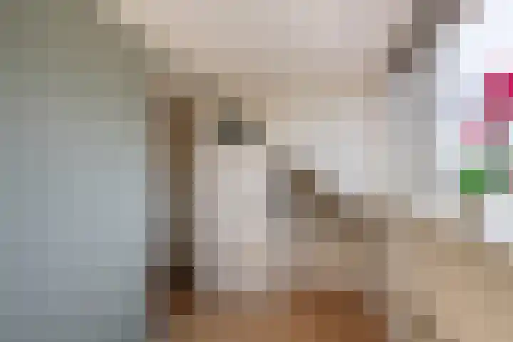 Nassaulaan 68 Vlaardingen thumbnail 41