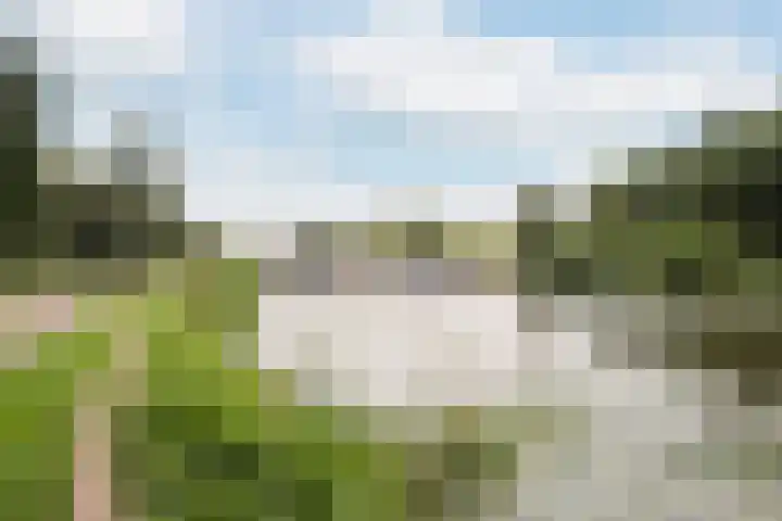 Nassaulaan 68 Vlaardingen thumbnail 42