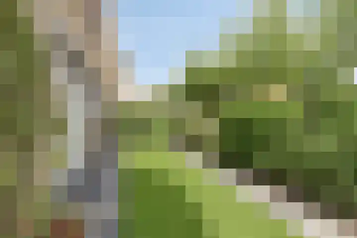 Nassaulaan 7 Emmen thumbnail 24