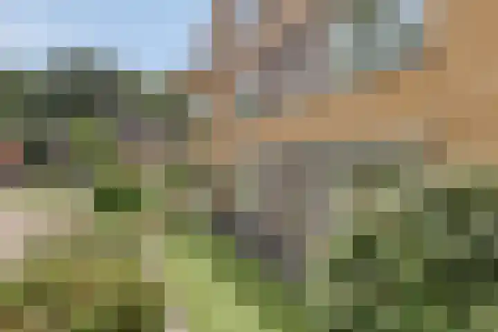 Nassaulaan 7 Emmen thumbnail 25