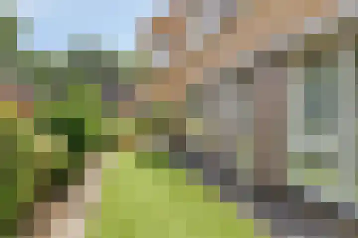 Nassaulaan 7 Emmen thumbnail 26