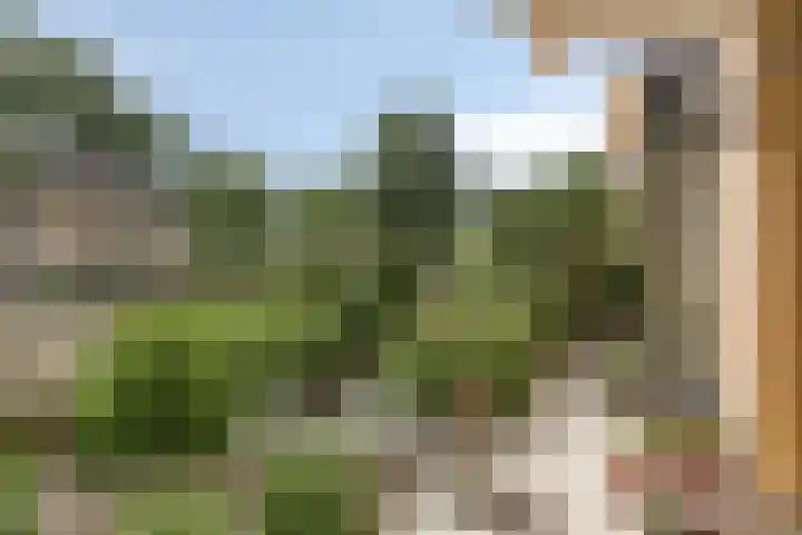 Nassaulaan 7 Emmen thumbnail 28