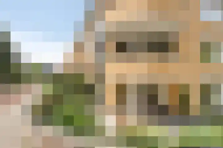 Nassaulaan 7 Emmen thumbnail 29