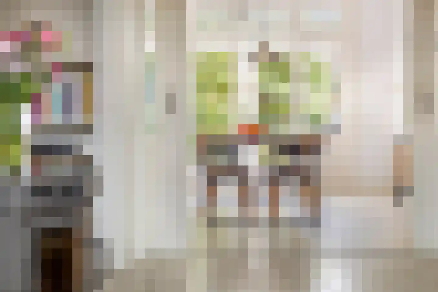 Nassaulaan 7 Groningen thumbnail 13