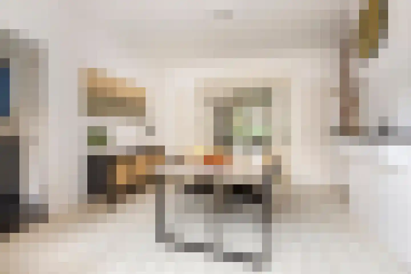Nassaulaan 7 Groningen thumbnail 17