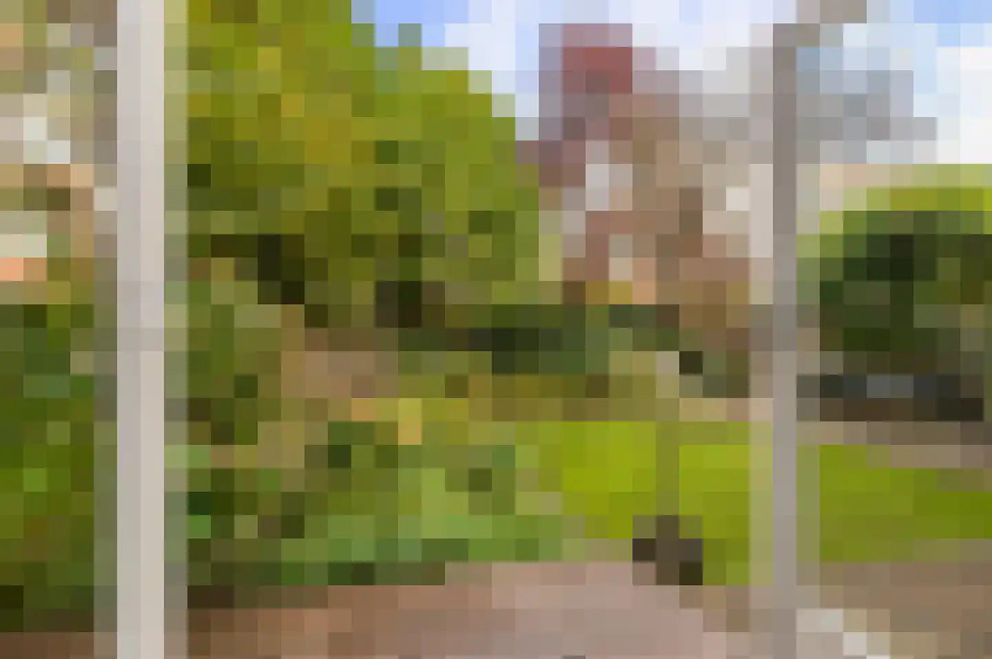 Nassaulaan 7 Groningen thumbnail 22
