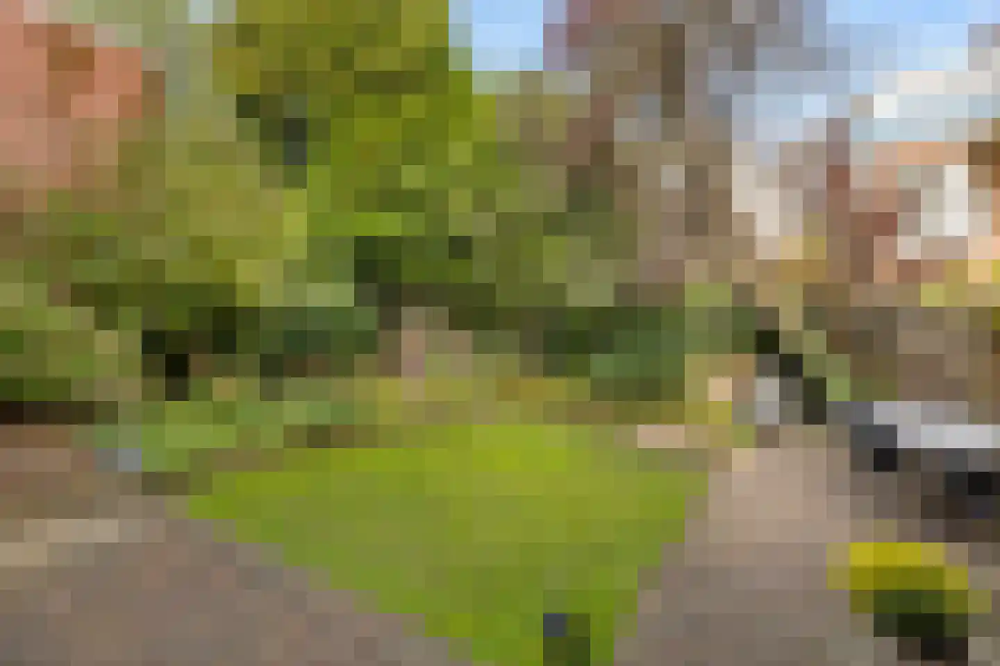 Nassaulaan 7 Groningen thumbnail 23