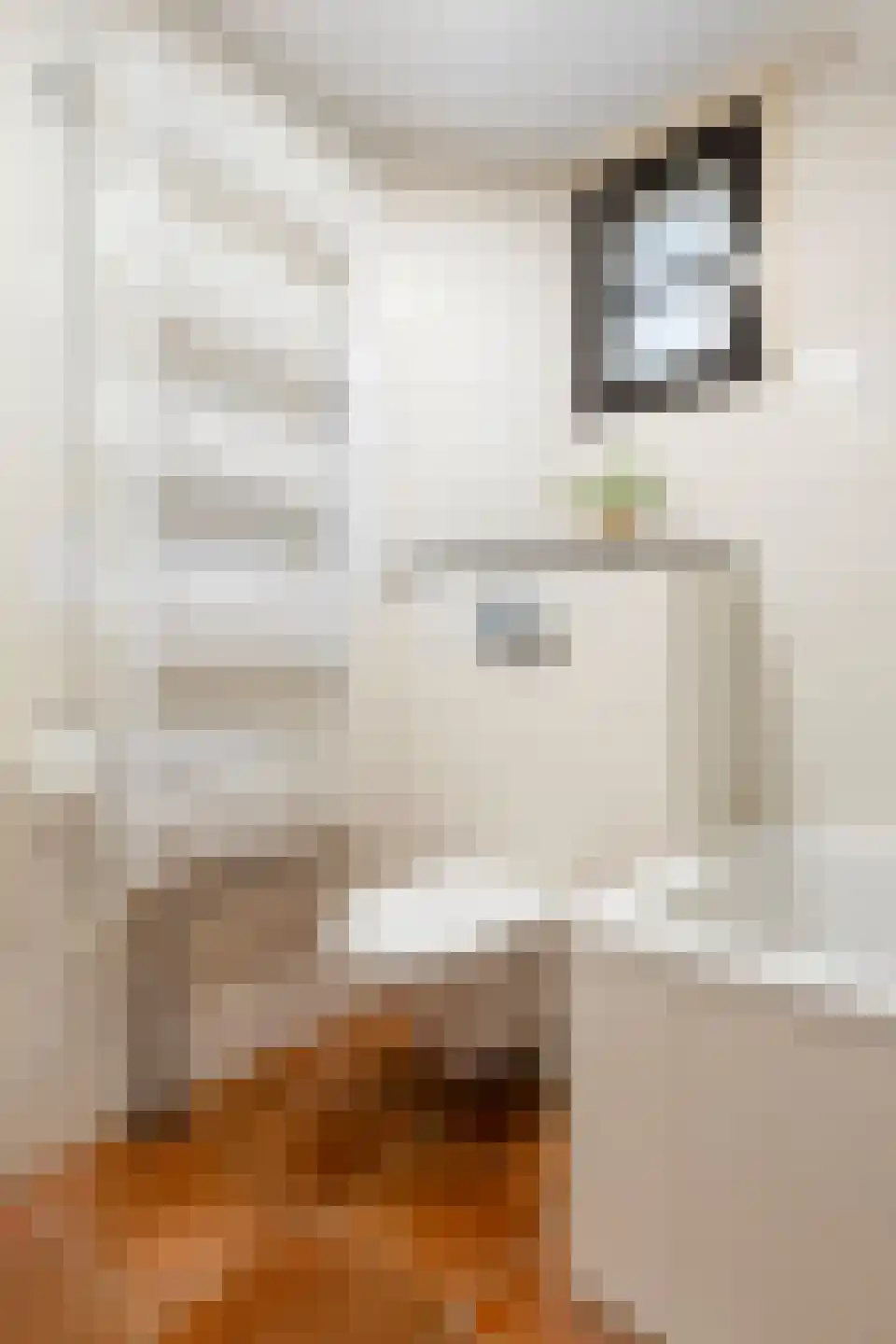 Nassaulaan 7 Groningen thumbnail 32
