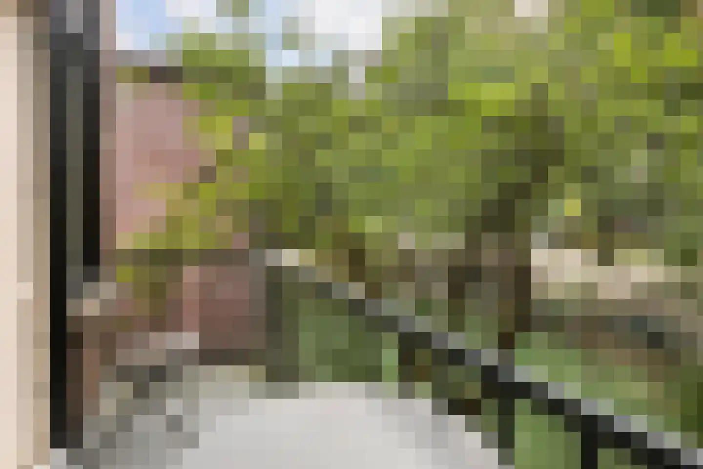 Nassaulaan 7 Groningen thumbnail 37
