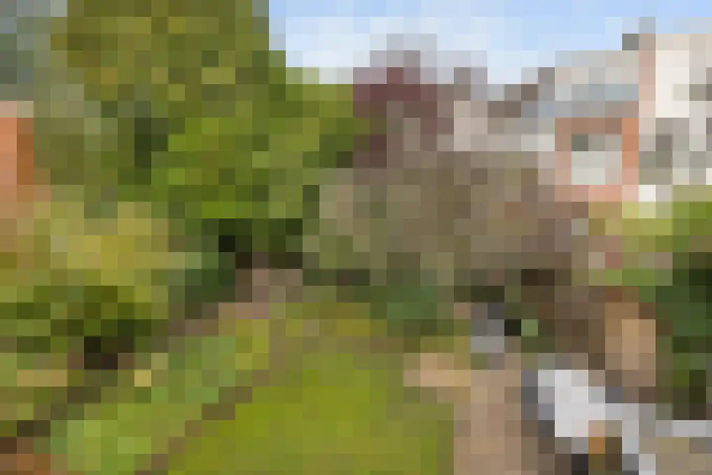 Nassaulaan 7 Groningen thumbnail 38