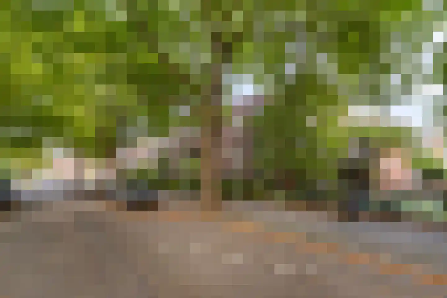 Nassaulaan 7 Groningen thumbnail 40