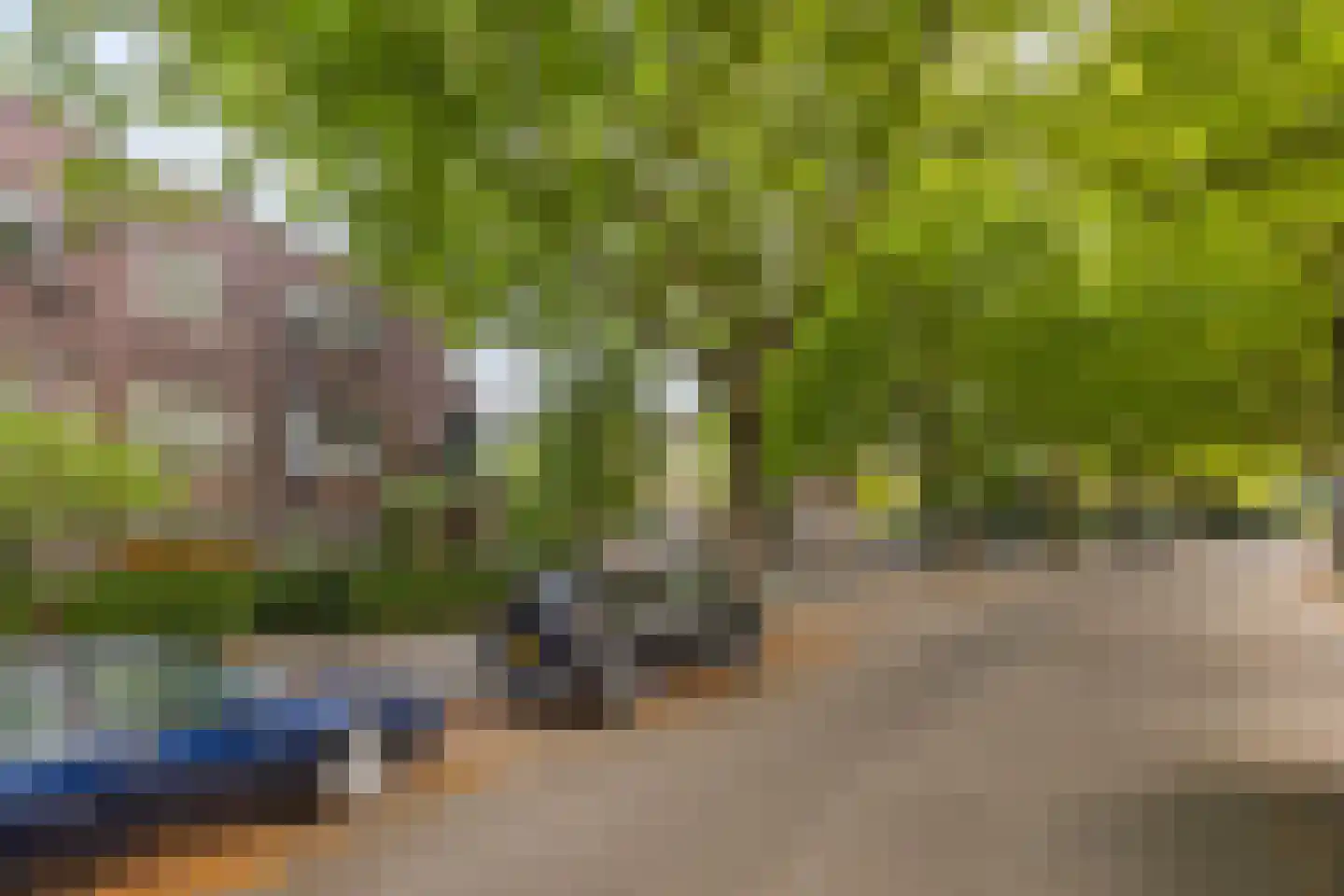 Nassaulaan 7 Groningen thumbnail 41