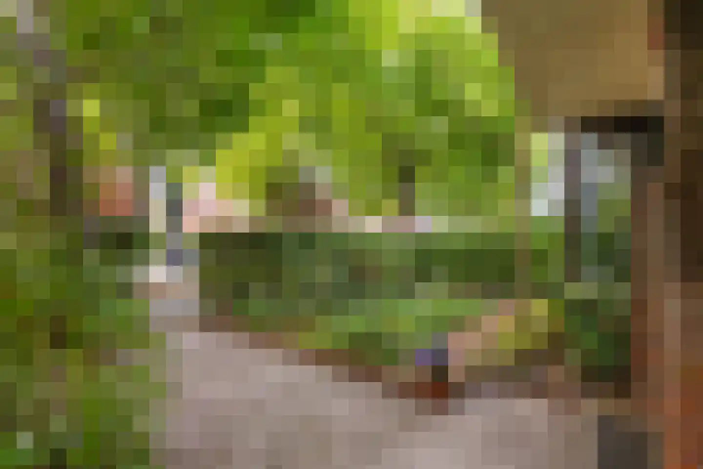 Nassaulaan 7 Groningen thumbnail 7