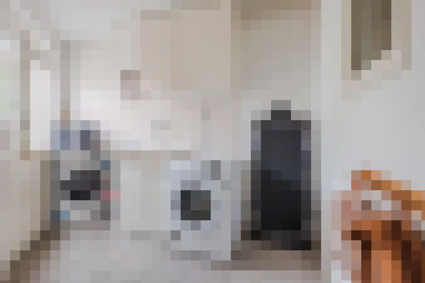 Nassaulaan 72 Nunspeet thumbnail 20
