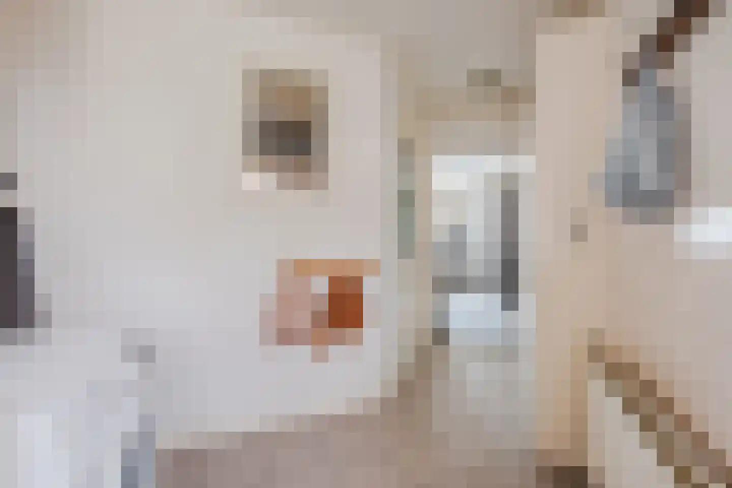 Nassaulaan 72 Nunspeet thumbnail 21