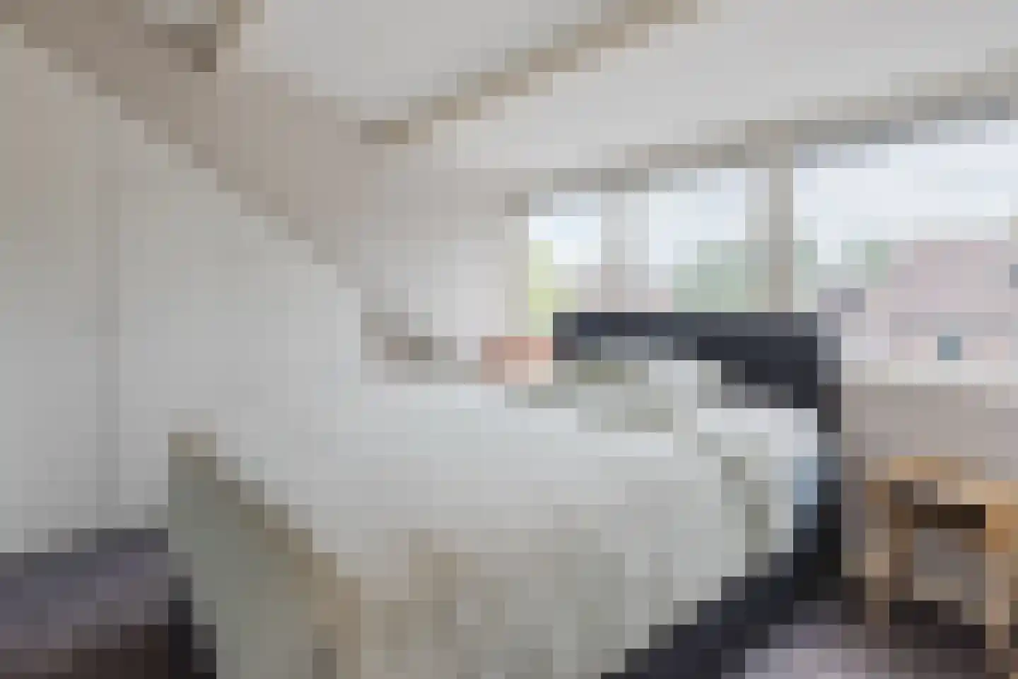 Nassaulaan 72 Nunspeet thumbnail 35