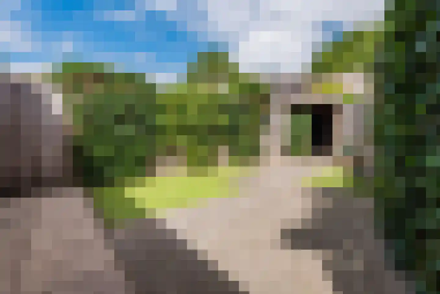 Nassaulaan 72 Nunspeet thumbnail 46