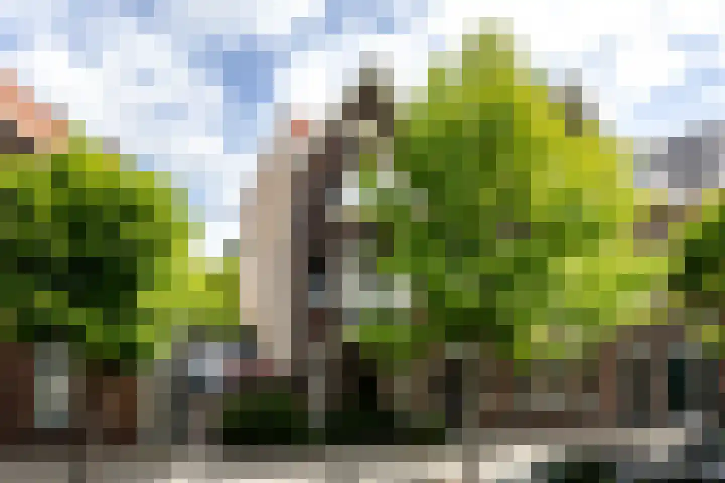 Nassaulaan 74 Schiedam
