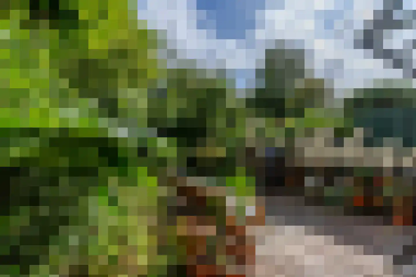 Nassaulaan 74 Schiedam thumbnail 19