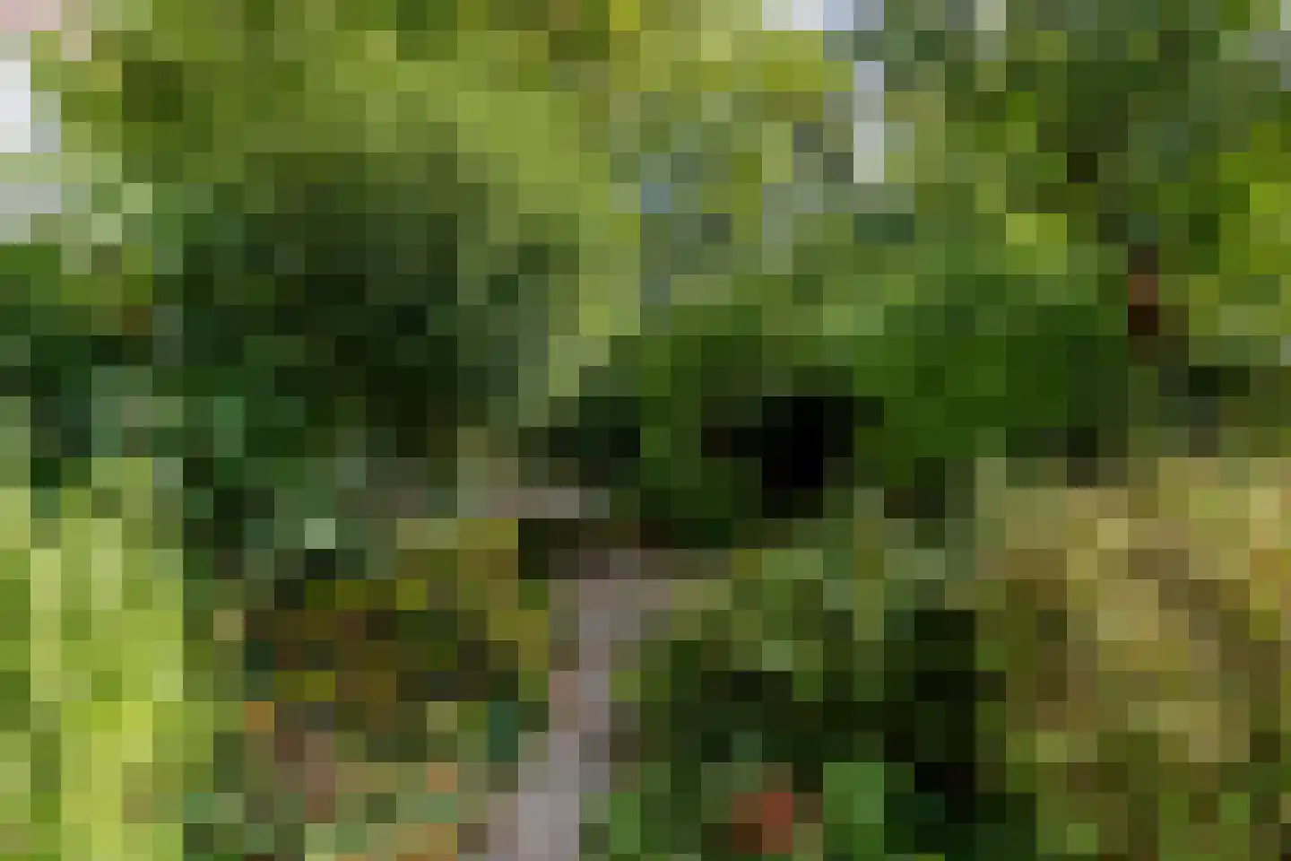 Nassaulaan 74 Schiedam thumbnail 20