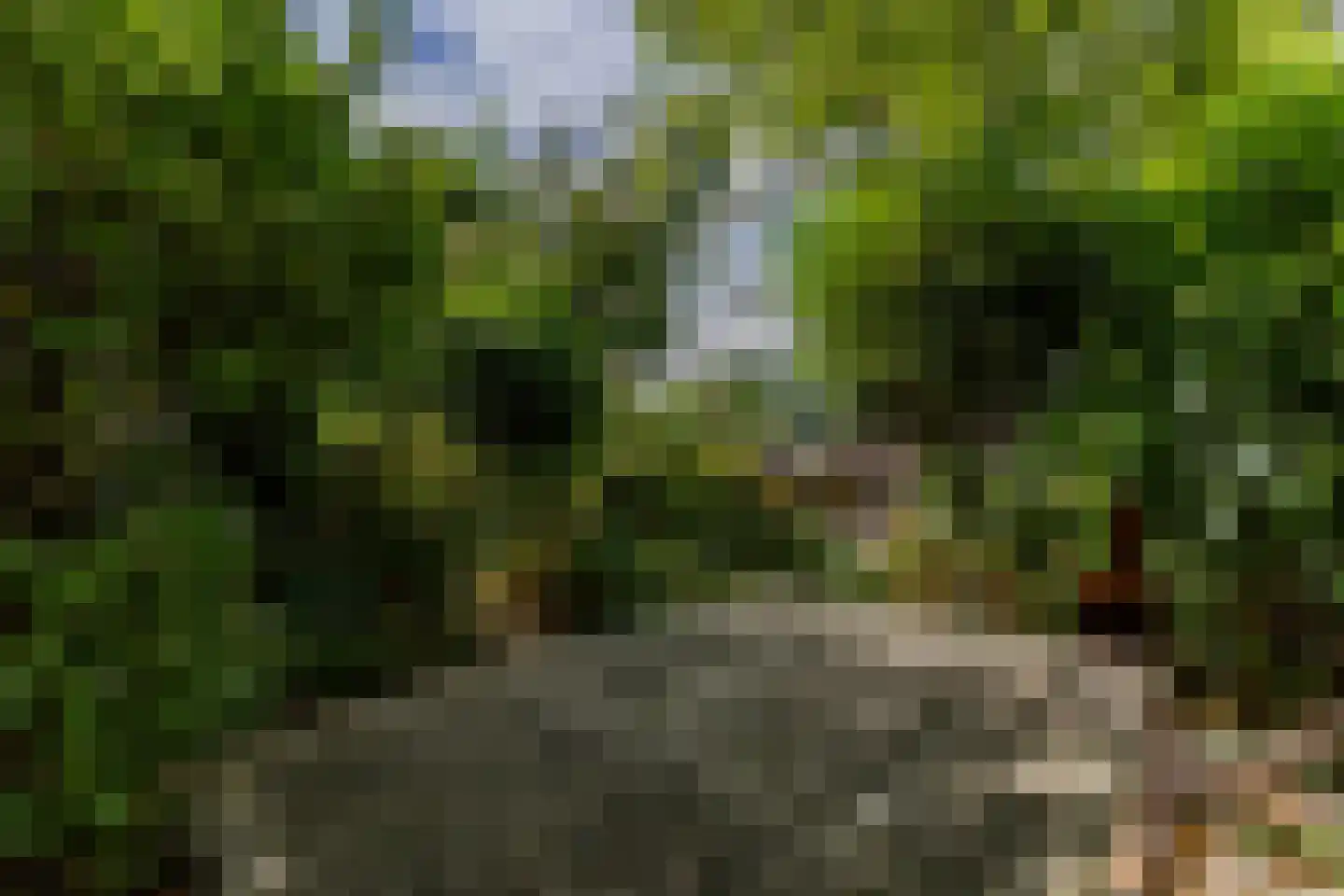 Nassaulaan 74 Schiedam thumbnail 21