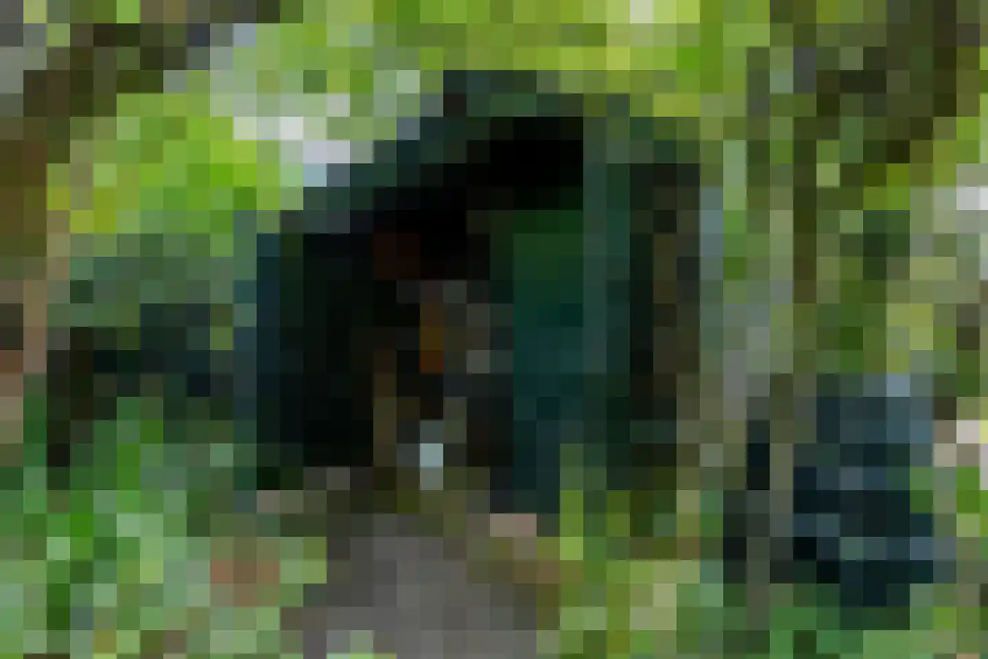 Nassaulaan 74 Schiedam thumbnail 22