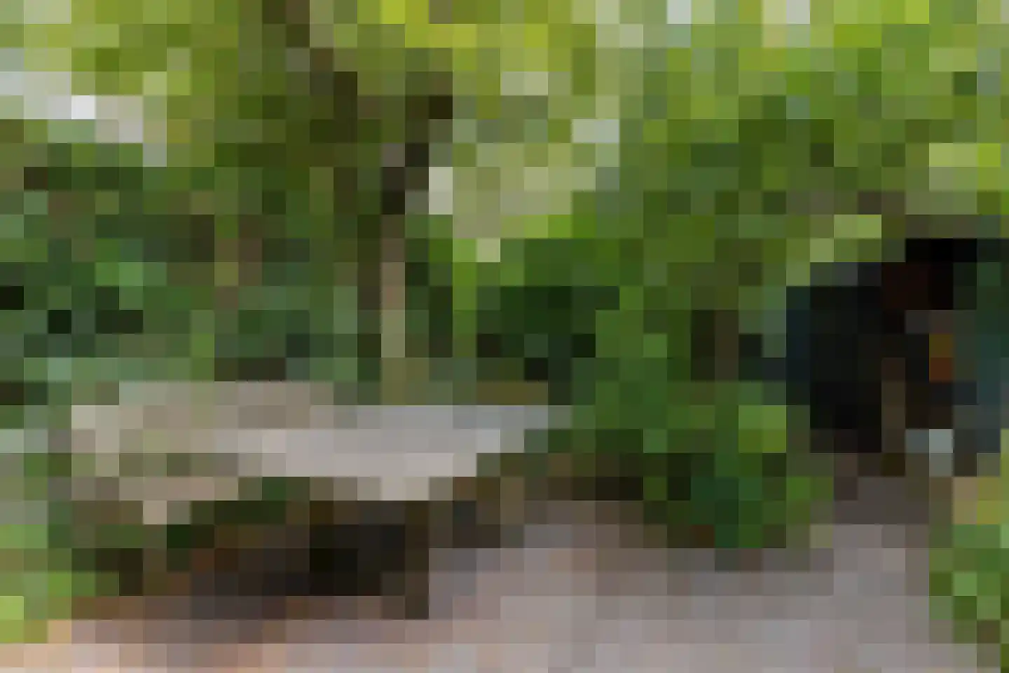 Nassaulaan 74 Schiedam thumbnail 23
