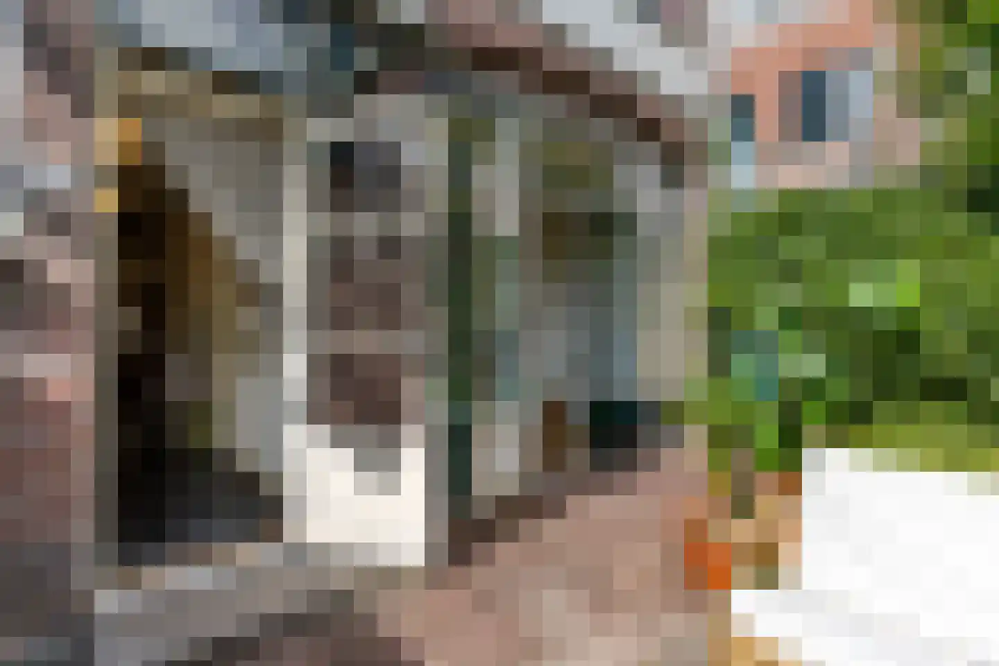 Nassaulaan 74 Schiedam thumbnail 25