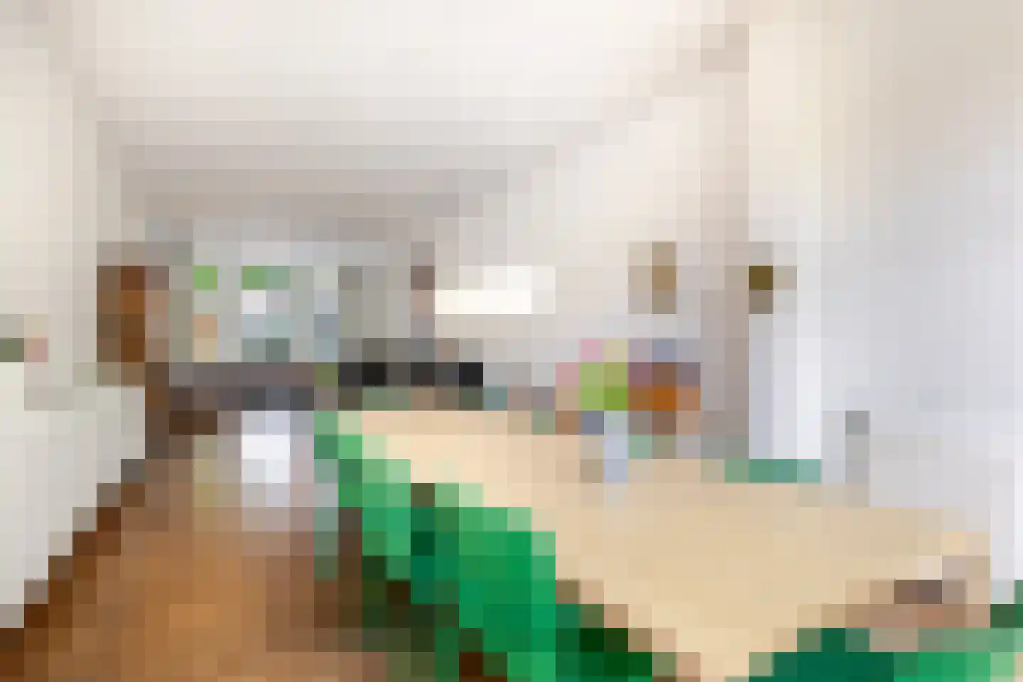 Nassaulaan 74 Schiedam thumbnail 28