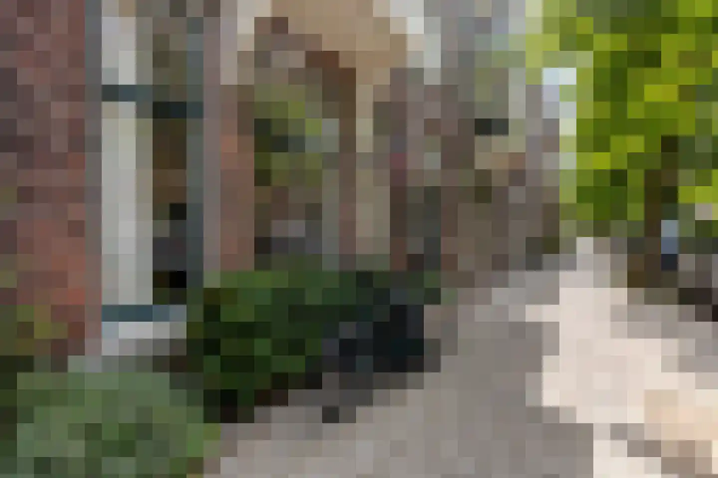 Nassaulaan 74 Schiedam thumbnail 61