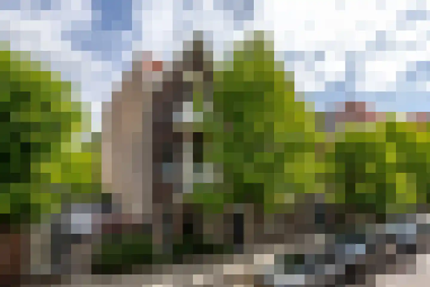 Nassaulaan 74 Schiedam thumbnail 63