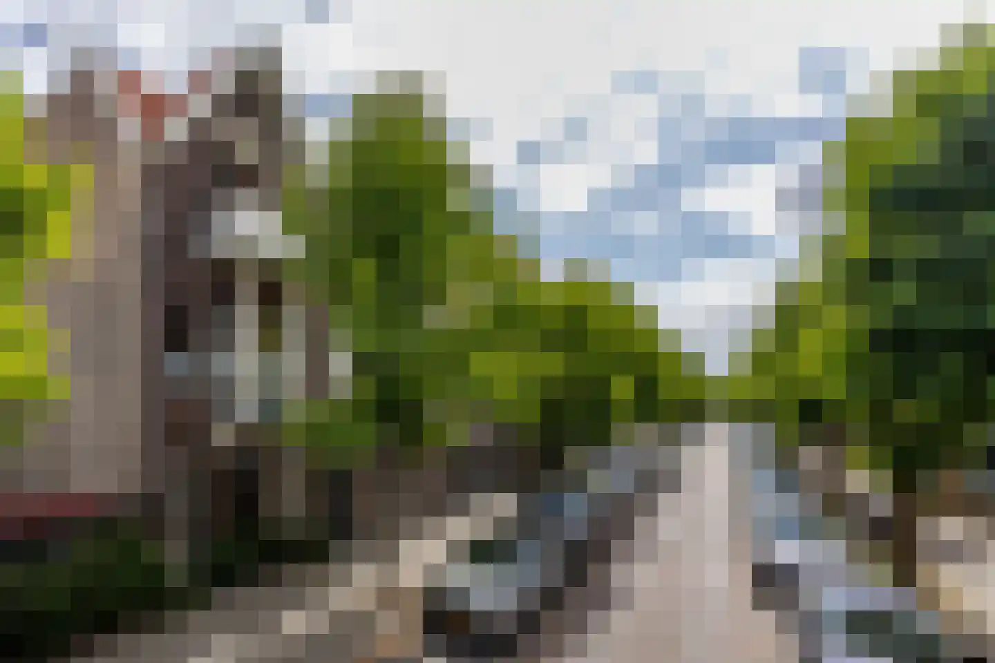 Nassaulaan 74 Schiedam thumbnail 64