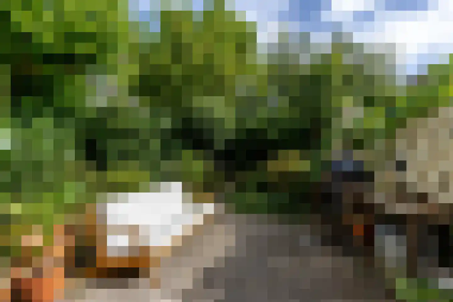 Nassaulaan 74 Schiedam thumbnail 8