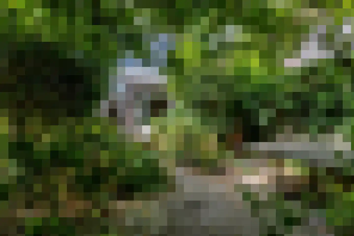 Nassaulaan 74 Schiedam thumbnail 9
