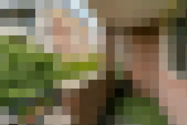 Nassaulaan 77 Haarlem thumbnail 10