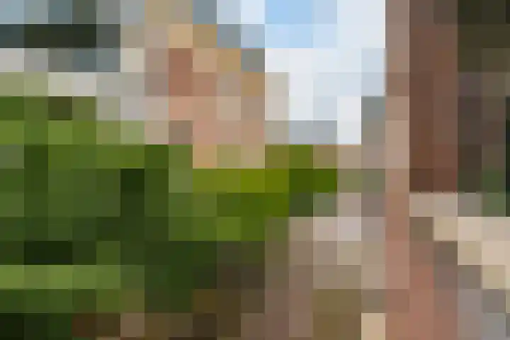 Nassaulaan 77 Haarlem thumbnail 11