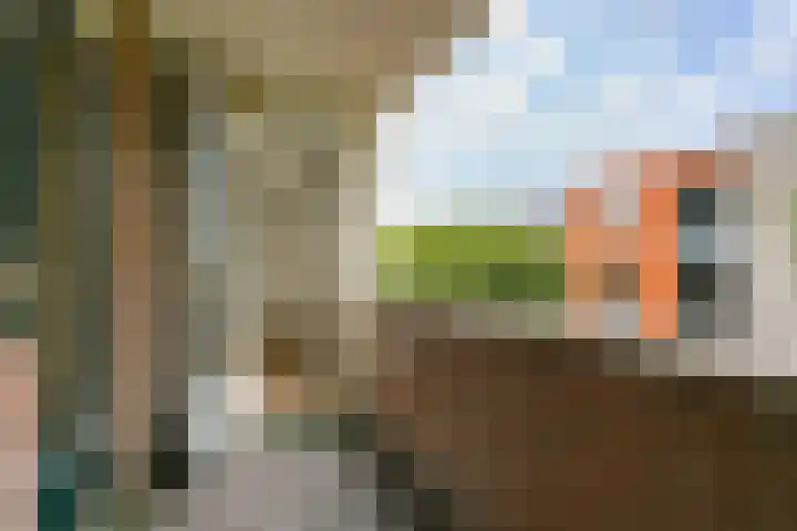 Nassaulaan 77 Haarlem thumbnail 13