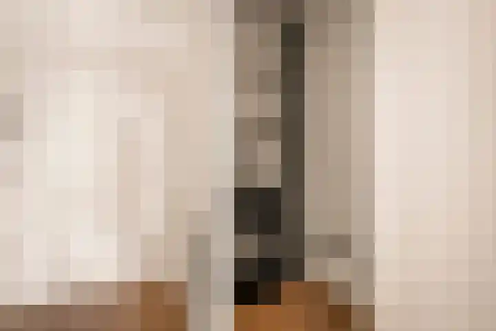 Nassaulaan 77 Haarlem thumbnail 22
