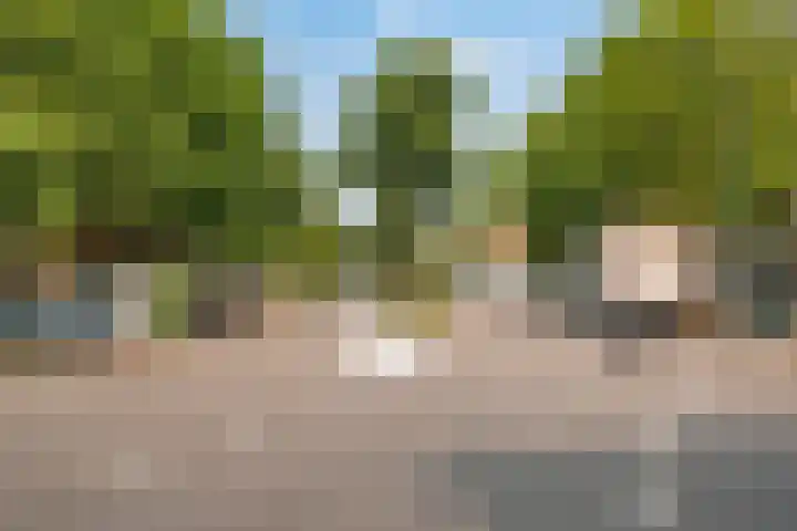 Nassaulaan 77 Haarlem thumbnail 25