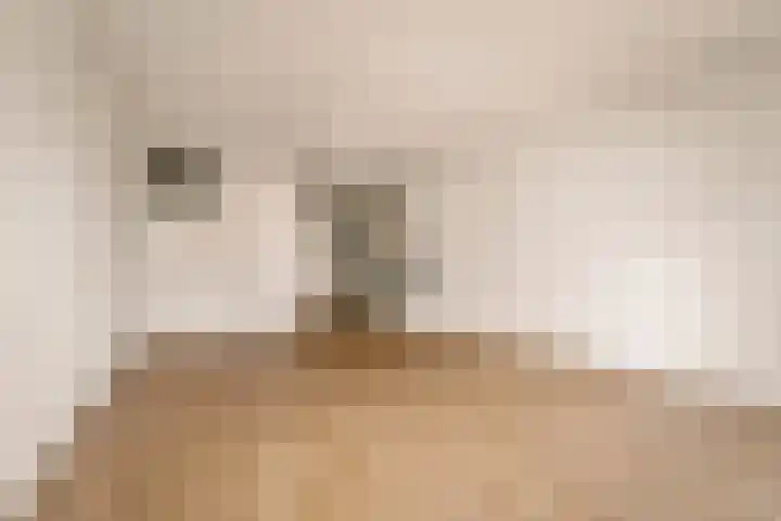 Nassaulaan 77 Haarlem thumbnail 6