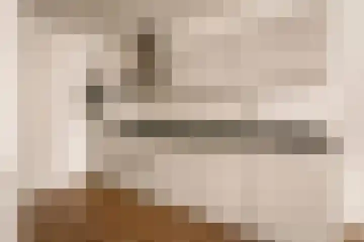 Nassaulaan 77 Haarlem thumbnail 7
