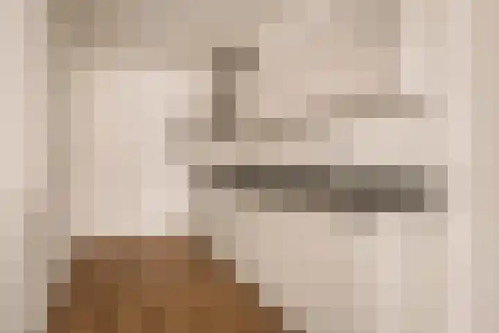 Nassaulaan 77 Haarlem thumbnail 8