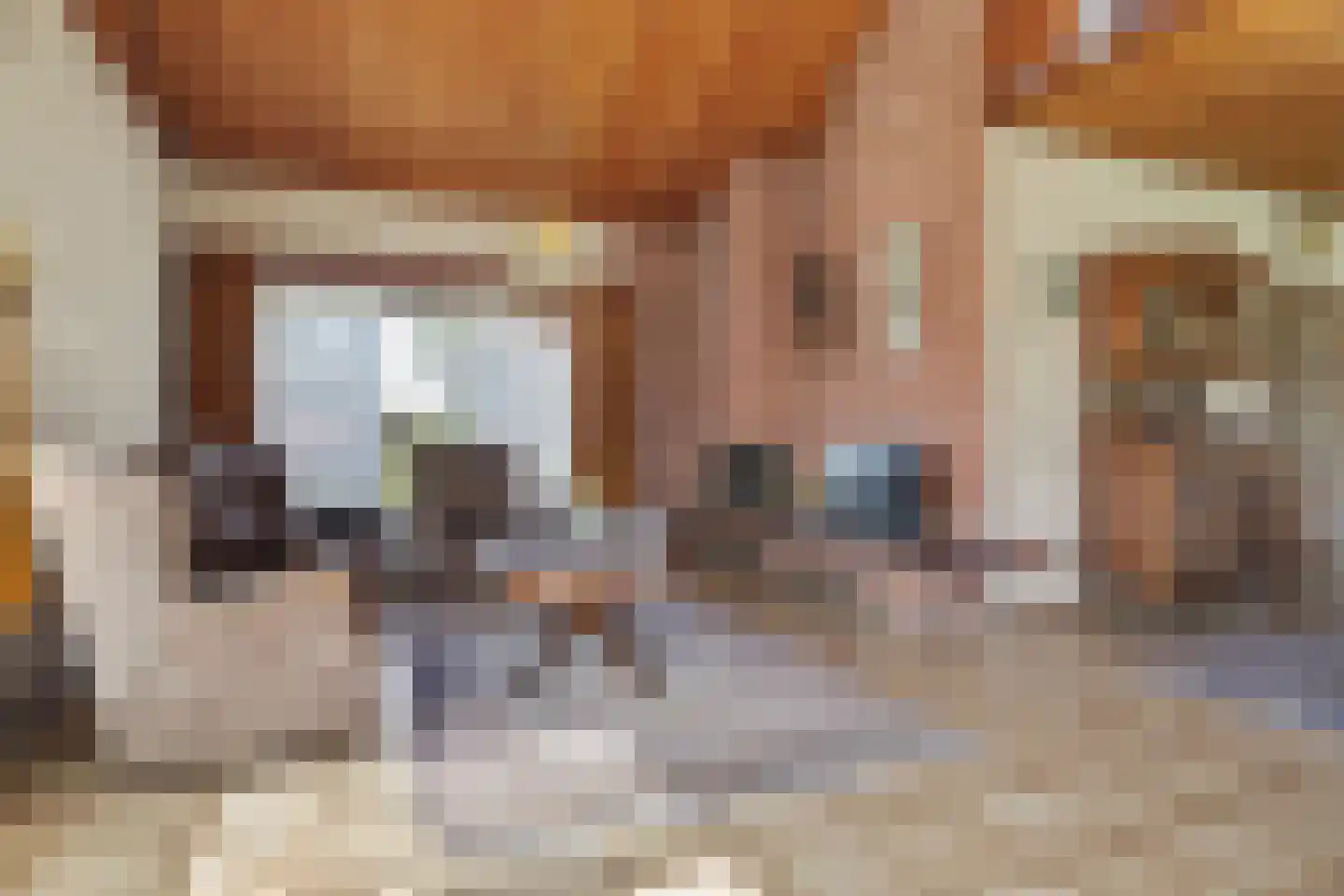 Nassaulaan 8 Baarle-Nassau thumbnail 18