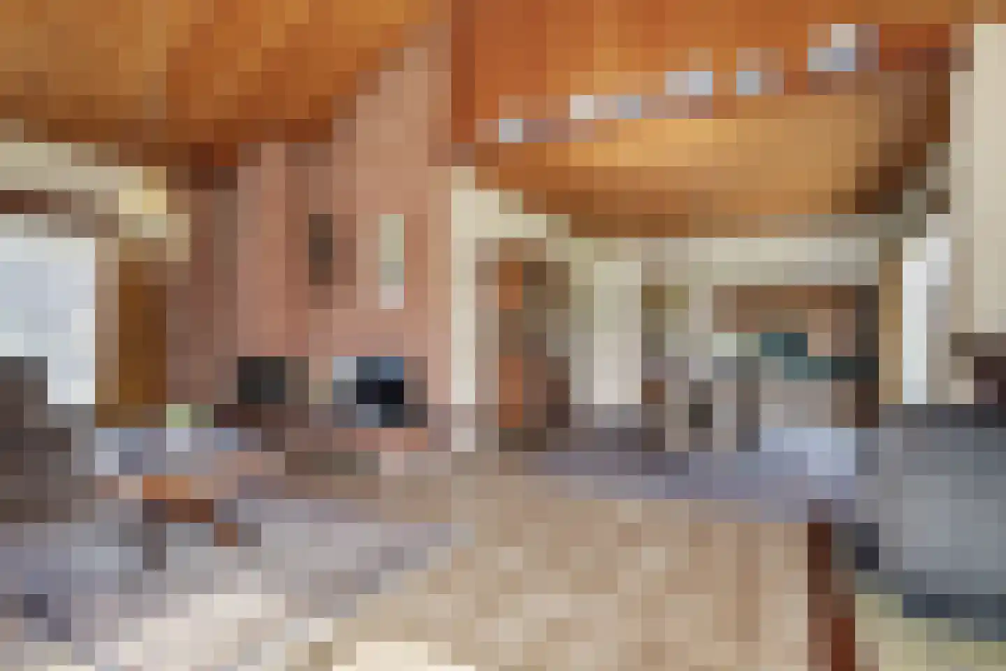 Nassaulaan 8 Baarle-Nassau thumbnail 19
