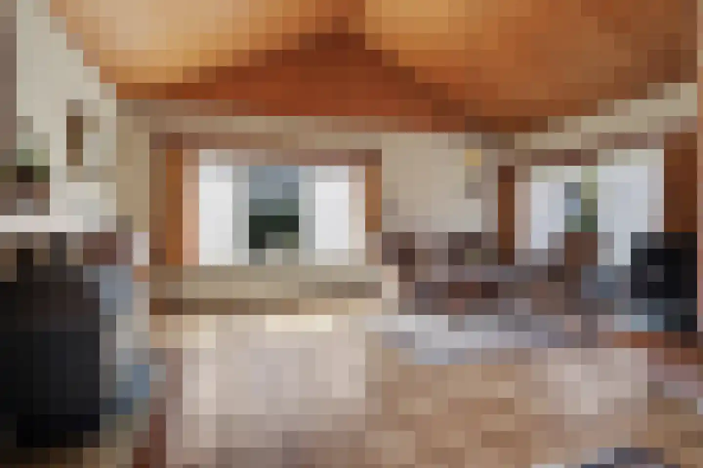 Nassaulaan 8 Baarle-Nassau thumbnail 20