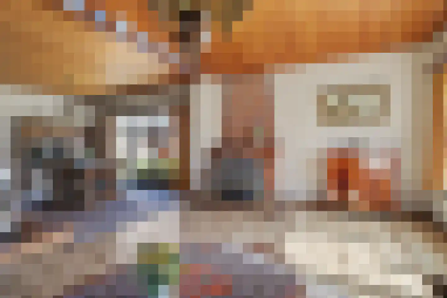 Nassaulaan 8 Baarle-Nassau thumbnail 21